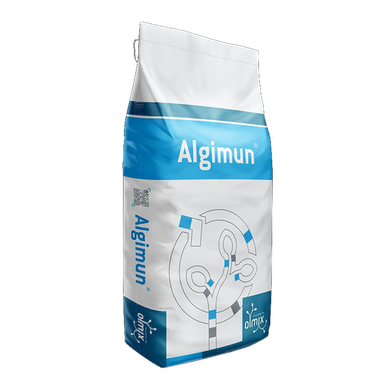 Algimun